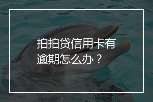 拍拍贷信用卡有逾期怎么办？