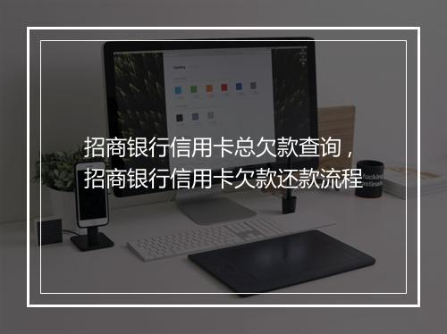 招商银行信用卡总欠款查询 ,招商银行信用卡欠款还款流程
