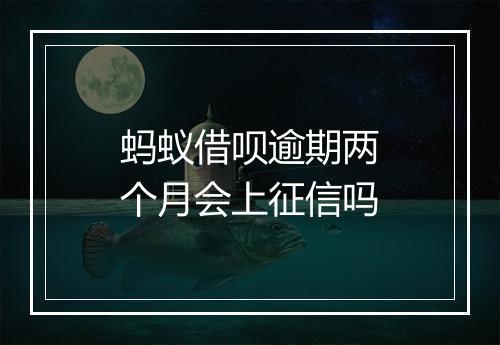 蚂蚁借呗逾期两个月会上征信吗