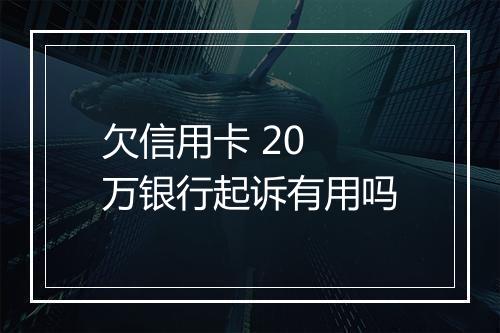 欠信用卡 20 万银行起诉有用吗