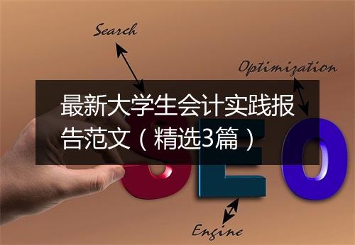 最新大学生会计实践报告范文（精选3篇）