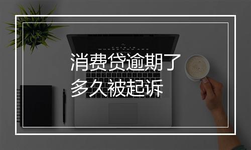 消费贷逾期了多久被起诉