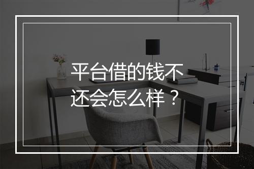 平台借的钱不还会怎么样？