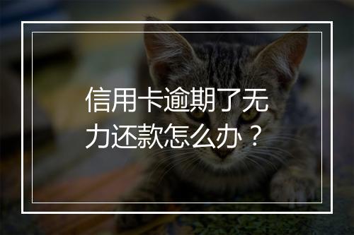 信用卡逾期了无力还款怎么办？