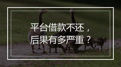 平台借款不还，后果有多严重？