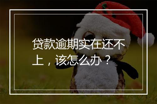 贷款逾期实在还不上，该怎么办？