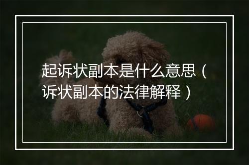 起诉状副本是什么意思（诉状副本的法律解释）