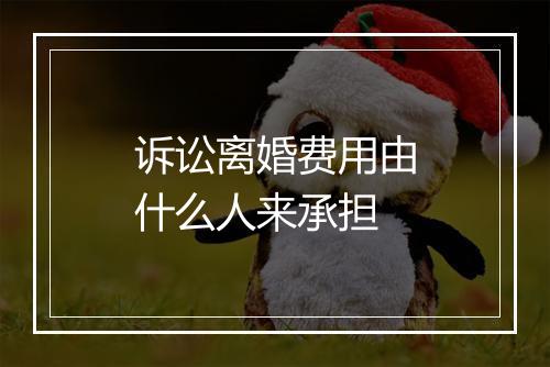 诉讼离婚费用由什么人来承担