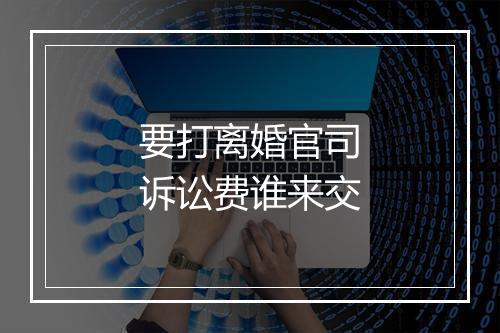要打离婚官司诉讼费谁来交