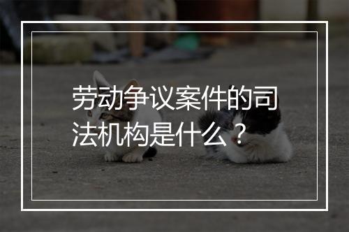劳动争议案件的司法机构是什么？
