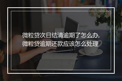 微粒贷次日结清逾期了怎么办,微粒贷逾期还款应该怎么处理