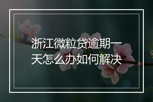 浙江微粒贷逾期一天怎么办如何解决