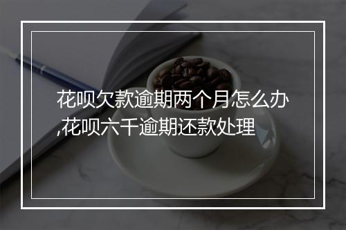 花呗欠款逾期两个月怎么办,花呗六千逾期还款处理