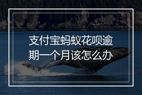 支付宝蚂蚁花呗逾期一个月该怎么办