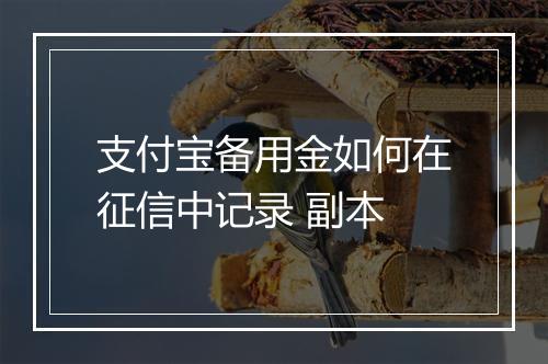 支付宝备用金如何在征信中记录 副本