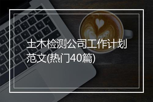 土木检测公司工作计划范文(热门40篇)