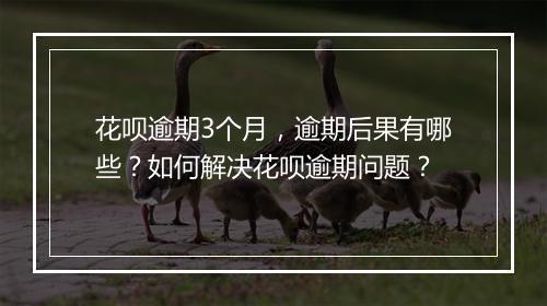 花呗逾期3个月，逾期后果有哪些？如何解决花呗逾期问题？
