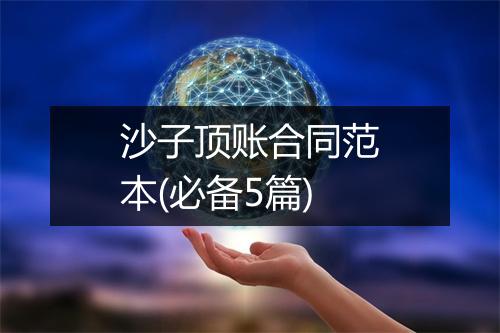 沙子顶账合同范本(必备5篇)