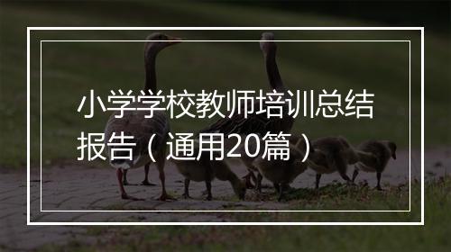 小学学校教师培训总结报告（通用20篇）