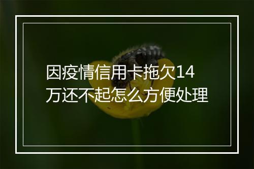 因疫情信用卡拖欠14万还不起怎么方便处理
