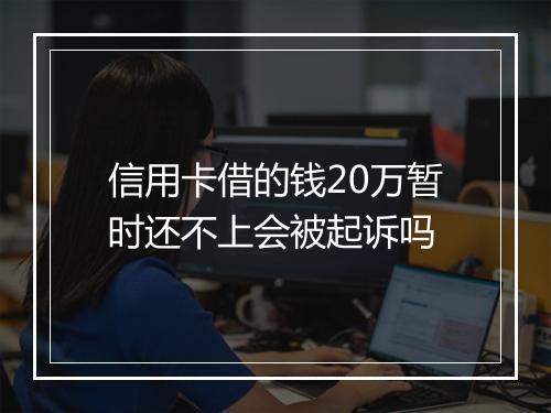 信用卡借的钱20万暂时还不上会被起诉吗