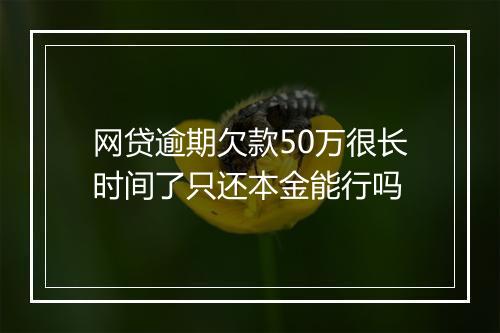 网贷逾期欠款50万很长时间了只还本金能行吗