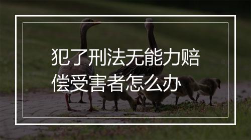 犯了刑法无能力赔偿受害者怎么办