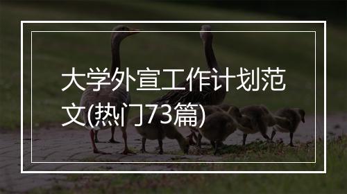 大学外宣工作计划范文(热门73篇)