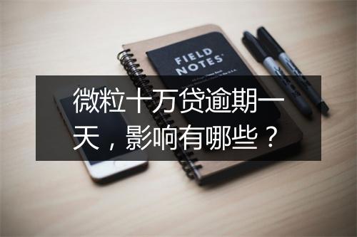 微粒十万贷逾期一天，影响有哪些？