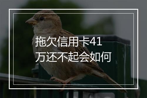拖欠信用卡41万还不起会如何