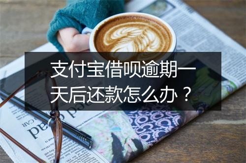 支付宝借呗逾期一天后还款怎么办？