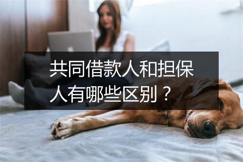 共同借款人和担保人有哪些区别？