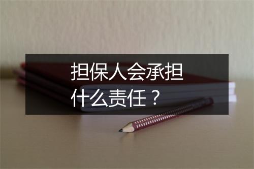 担保人会承担什么责任？