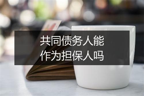 共同债务人能作为担保人吗