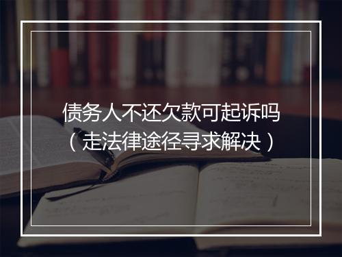 债务人不还欠款可起诉吗（走法律途径寻求解决）