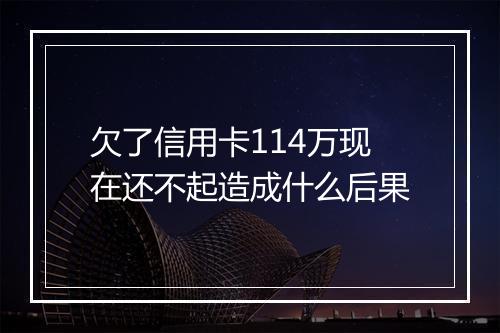 欠了信用卡114万现在还不起造成什么后果