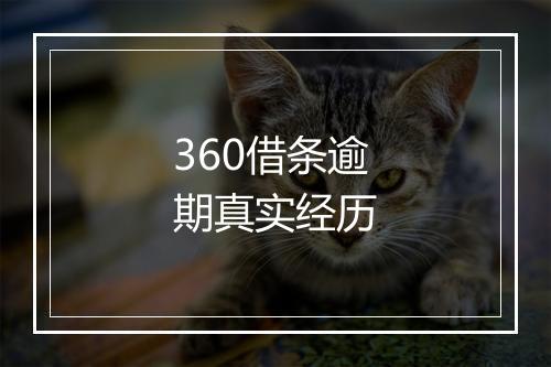 360借条逾期真实经历