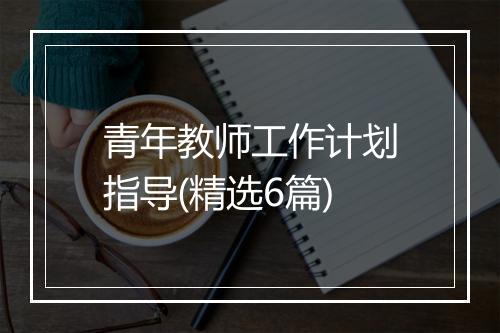 青年教师工作计划指导(精选6篇)