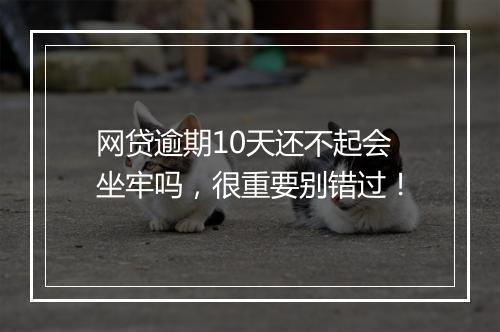 网贷逾期10天还不起会坐牢吗，很重要别错过！