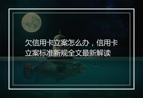 欠信用卡立案怎么办，信用卡立案标准新规全文最新解读