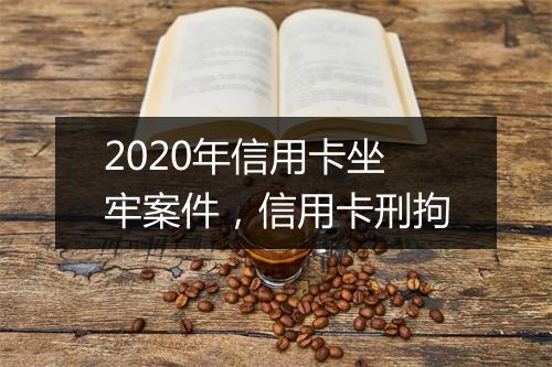 2020年信用卡坐牢案件，信用卡刑拘