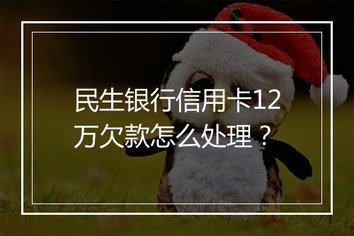 民生银行信用卡12万欠款怎么处理？