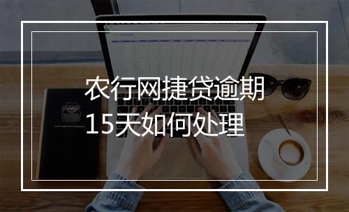 农行网捷贷逾期15天如何处理