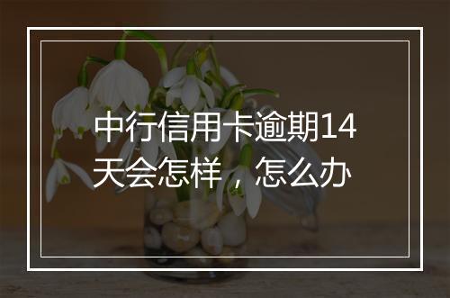 中行信用卡逾期14天会怎样，怎么办
