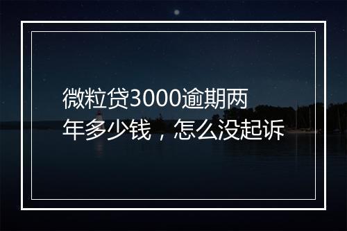 微粒贷3000逾期两年多少钱，怎么没起诉