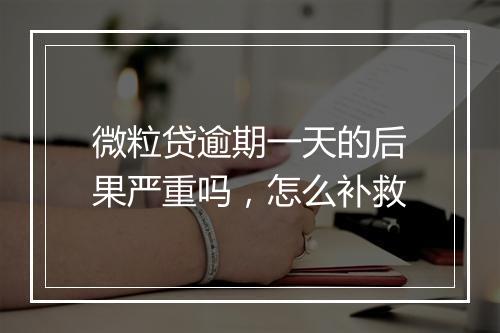 微粒贷逾期一天的后果严重吗，怎么补救