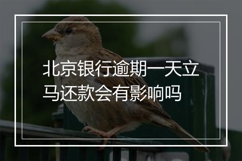 北京银行逾期一天立马还款会有影响吗