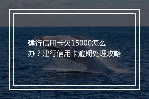 建行信用卡欠15000怎么办？建行信用卡逾期处理攻略