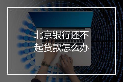 北京银行还不起贷款怎么办