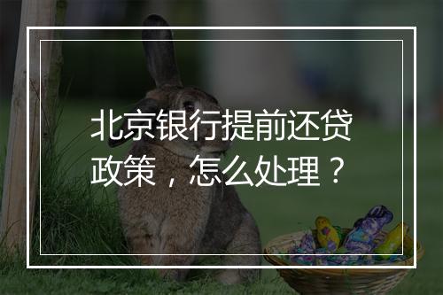 北京银行提前还贷政策，怎么处理？